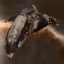 Prophecy Blood Raiders Edition Combat Battlecruiser