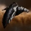 Prophecy Navy Issue Combat Battlecruiser